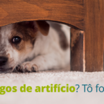 Por que os fogos de artifício causam desconforto aos pets?